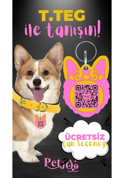 Petjoo 15.T.Teg Pembe-Sarı Qr'lı Köpek Künyesi