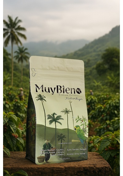 MuyBieno Kolombiya Medellin Supremo Öğütülmüş Filtre Kahve 250 G