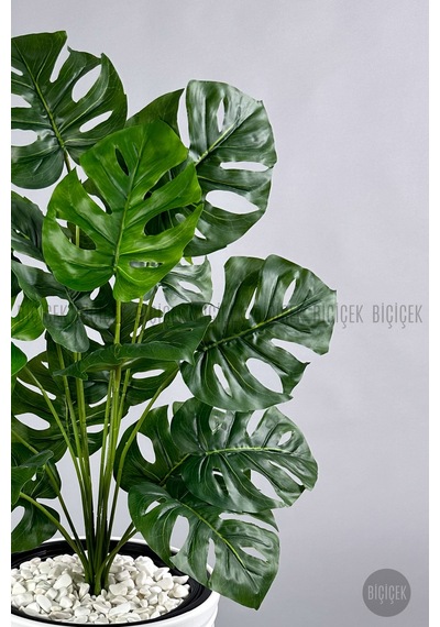 Biçiçek Yapay Monstera Deve Tabani Bi̇tki̇si̇ 130 Cm Beyaz Kumsal Saksıda