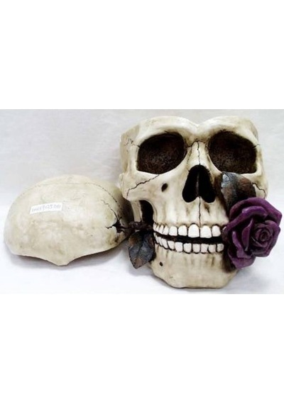 WISE Veronese İskelet Serisi-WISE KURUKAFA KULLUK-15*23*13 CM
