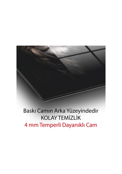 Asil Aslan Portresi Cam Tablo Temperli Parlak Cam Duvar Dekoru Hayvan Figürlü Dekoratif Duvar Tablosu, Salon, Ofis Ve Çalışma Alanı Dekoru,