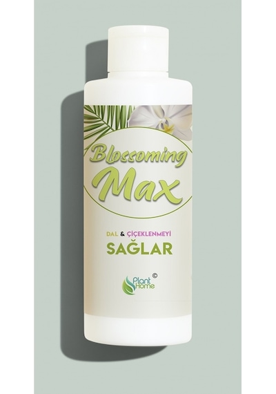 Blossoming Max Dal Ve Çiçeklenmeyi Sağlayan Güçlü Besin 100 Ml