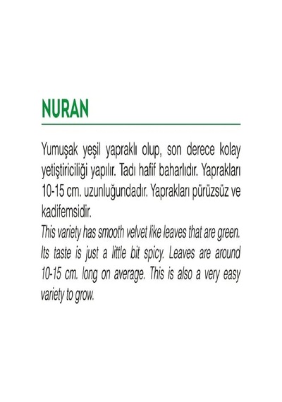 Agrodal Tarım Ata Tohumu Yerli Roka Nuran 2000 Adet Tohum