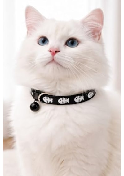 Allerderm Nokta 6 X 2 Ml - Küçük Köpekler Ve Kediler