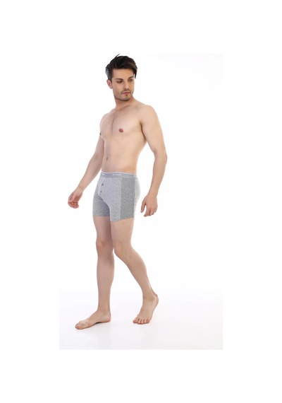 Epilons Zenvial Çift Kaplan 880 Elastanlı Erkek Boxer Zenviall2 Gri
