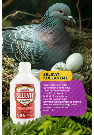 Selevit Üreme Vitamini Selenyum E Vitamini 500ml