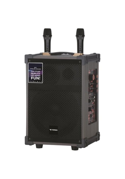 D71 Profesyonel Çift Mikrofonlu Bt Kablosuz Hoparlör Bass Ses Kutusu Speaker