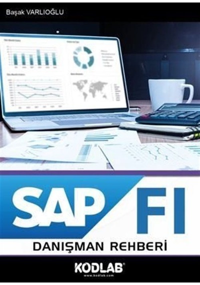 Sap Fı Danışman Rehberi / Başak Varlıoğlu