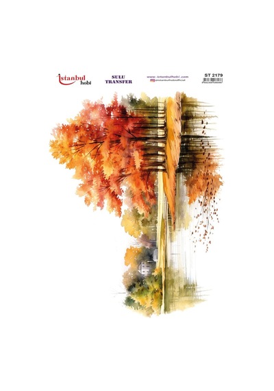 Sulu Transfer Kağıdı 25x35cm St-2179