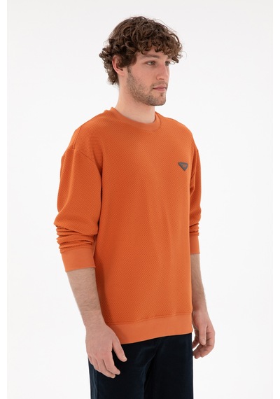 U.S. Polo Assn. Erkek Comfort Fit Bisiklet Yaka Tarçın Sweatshirt 50290777-VR191