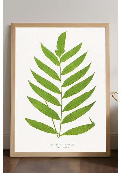 Leaf Ahşap Çerçeveli Poster, Dekoratif Sanatsal Duvar Tablosu
