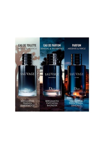 Christian Sauvage Edp 100 Ml Erkek Parfüm 1 Paket 1 X 100 Ml Diğer