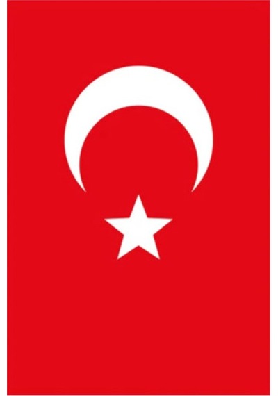 Yükselen 70x105 Bayrak