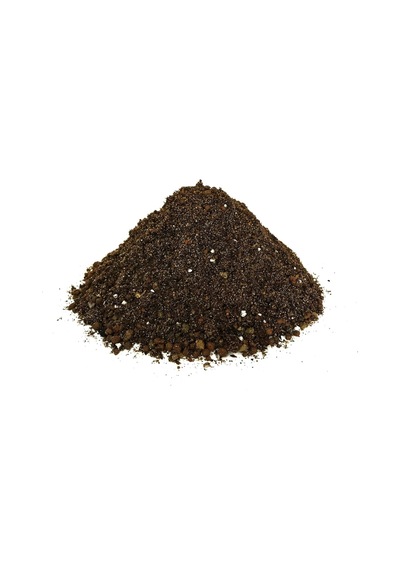 Kaktüs - Sukulent Toprağı 10 Lt Diğer