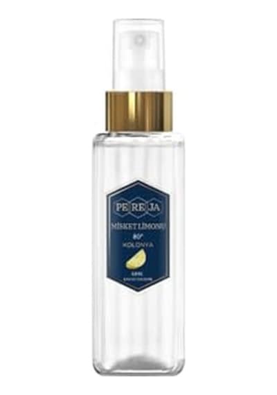 Room Spray Limonu 500ml Ada Esintisi