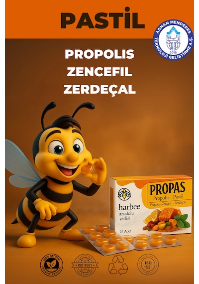 Propolis Zencefil Zerdaçal Pastil 16 Lı Boğaz - Ha...