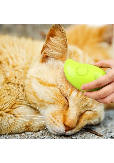 Buharlı Kedi & Köpek Yıkama Fırçası Tarağı Yumuşak Silikon