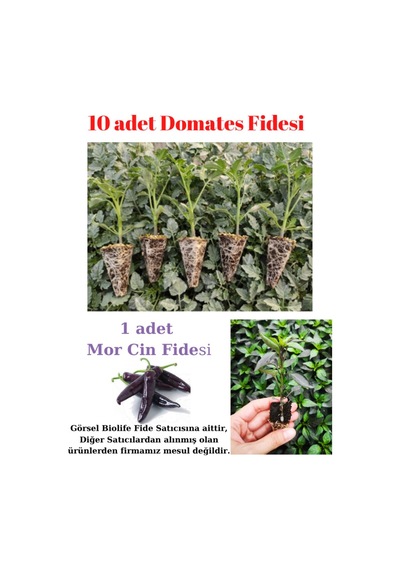 Pembe Köy Domates Fidesi Yerli Tohum 10 Adet, Mor Cin Biber Fidesi 1 Adet