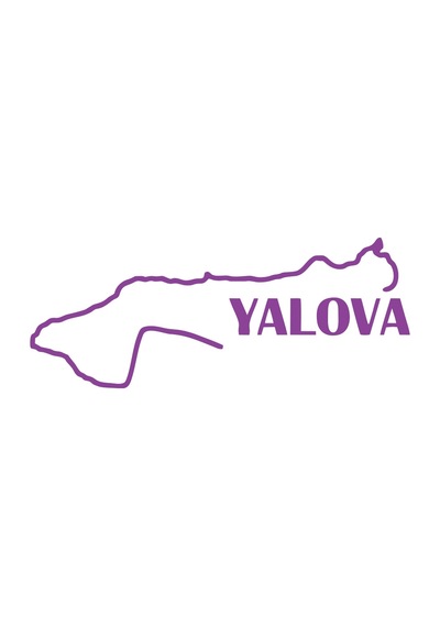 Yalova Harita Araba Sticker 17x17 Cm Mor