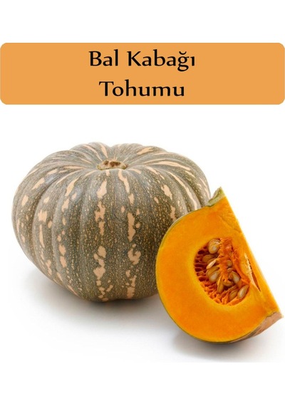 Bal Kabağı Tohumu 1 Paket Kabak Tohumu Kapalı Paket Tohum Bal Kabağı Tatlı Kabağı