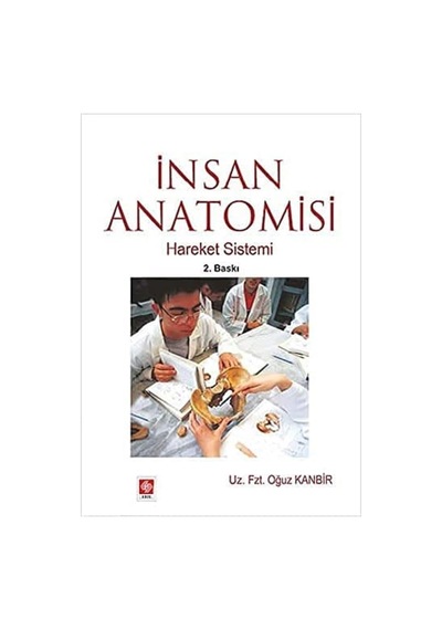 İnsan Anatomisi - Hareket Sistemi