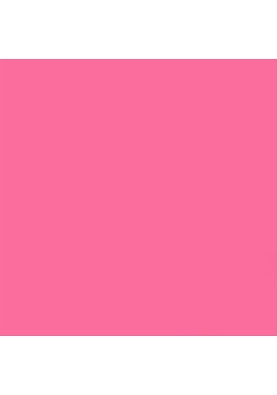 Gdx Kağıt Sonsuz Stüdyo Fon Perde Tulip 2.70x11 Metre