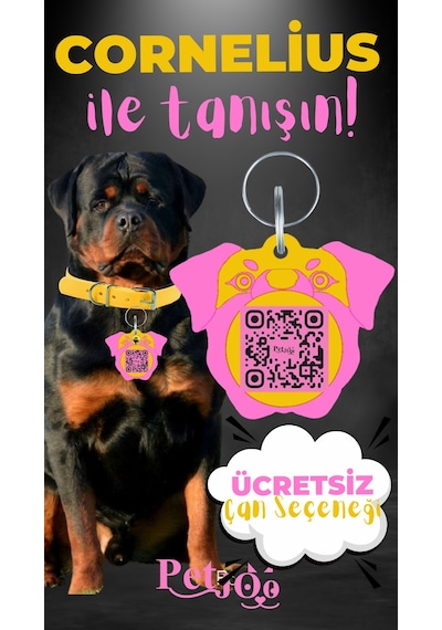 Petjoo 20.Cornelius Pembe-Sarı Qr'lı Köpek Künyesi