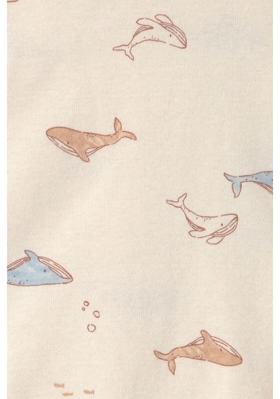 Carter's Erkek Bebek Layette 3'lü Body Pantolon Takım Mavi 1v2526