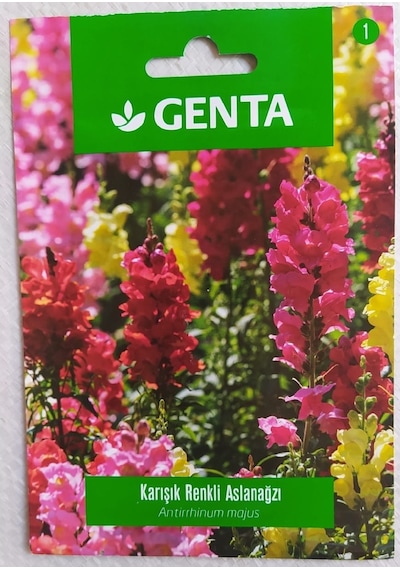 Genta Karışık Renkli Aslanağzı Antirrhinum Majus