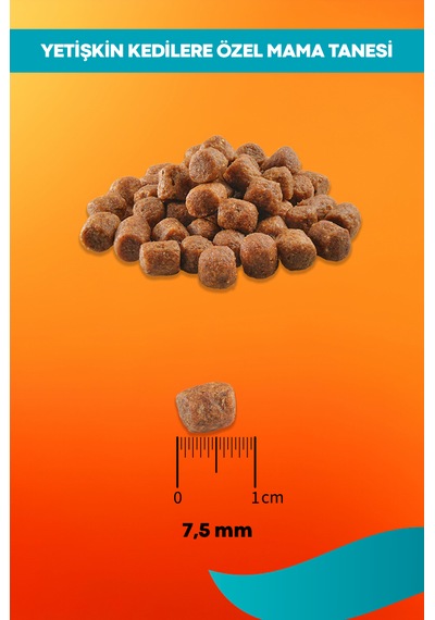 Tavuklu Yetişkin Kedi Maması Maintenance - 2kg