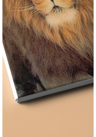 Webstyle Sayılarla Boyama Seti Kasnaklı Orman Kralı 60 X 75 Cm