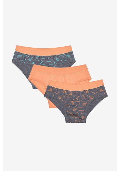 Penti Erkek Çocuk Blue Solid 3lü Çok Renkli Slip Külot Açık Gri