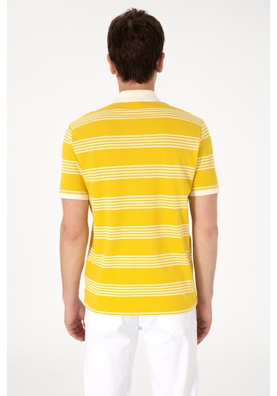 U.S. Polo Assn. Erkek Regular Fit Polo Yaka Sarı Çizgili Tişört 50306826-VR094