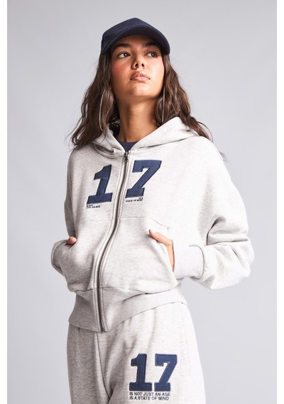 Defacto Fıtted Kapüşonlu Kalın Kumaş Fermuarlı İşlemeli Sweatshirt Hırka H4218ax26wngr110 Gri-gr110