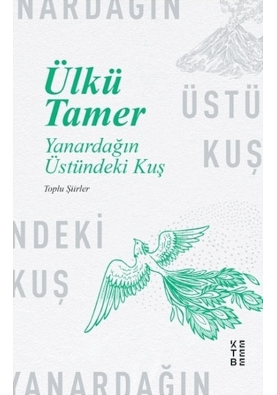 Yanardağın Üstündeki Kuş