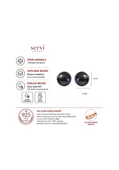Servi 925 Ayar Gümüş Çerçeveli Siyah İnci Küpe-505