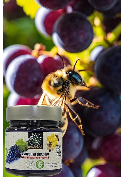 Aşıkzade Propolisli Şiraz Özü 255ml 280g Diğer