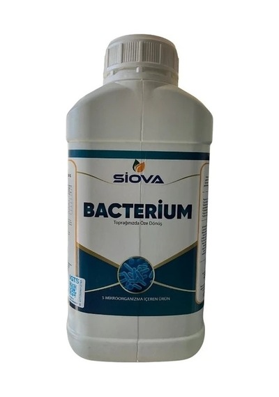 Siova Bacterium 5 Lt. Diğer
