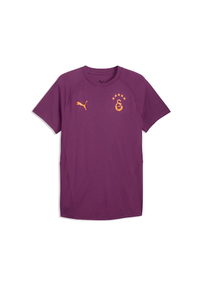 Puma Galatasaray Evostrıpe Erkek Dar Kesim Tişört 786825 21 Mor