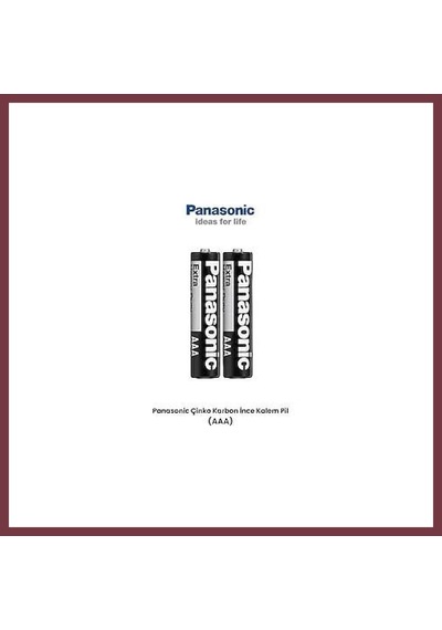 Storeşahin Panasonic 2 Li Kumanda Pili Shn0720