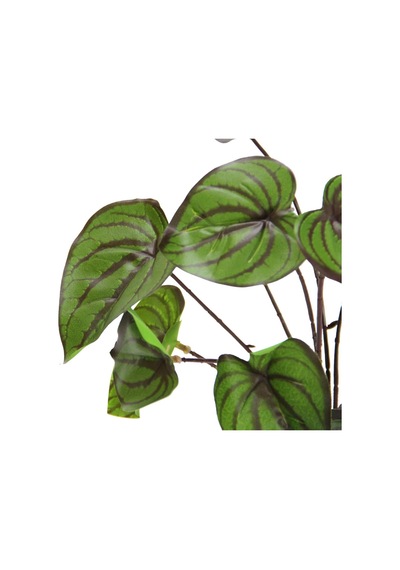 Yapay Damarlı Singonyum Demeti 25 Cm-9887