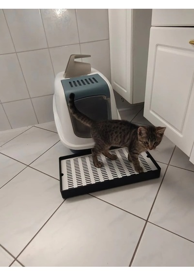 3d Baskı Kedi Kumu Tutucu Mat Kedi Tuvaleti Önü Kum Toplayıcı Delikli Paspas Siyah Beyaz