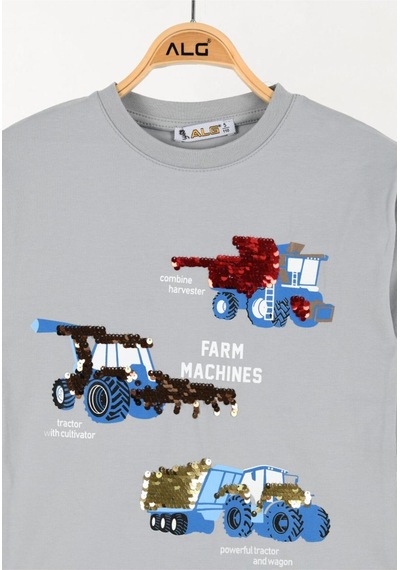 Alglıfe Erkek Çocuk Pullu Sweatshırt Gri