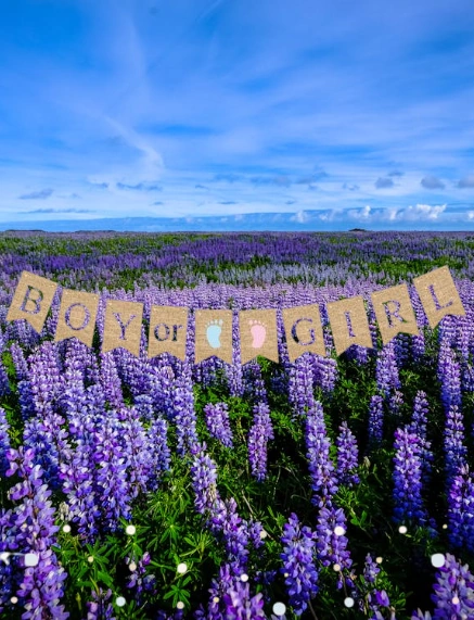 Cinsiyet Partisi Banner Jüt Görünümlü Boy Girl 10 Bayraklı 150cm Diğer