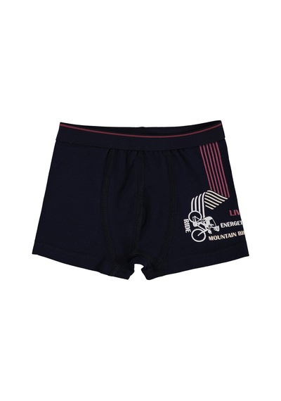 Civil Boys Bike 2-10 Yaş Erkek Çocuk 2'li Boxer - Standart