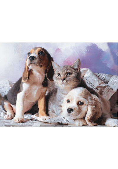 Puzz 1000 Parça Kedi Köpek Kardeşliği Yapboz