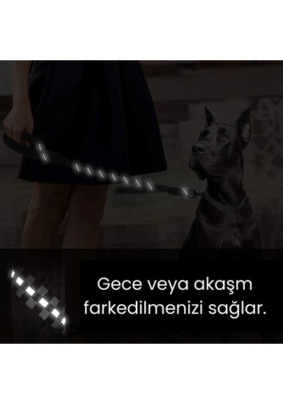 Kedi ve Köpekler Için Reflektörlü Gezdirme Tasması Kayışı Halatı