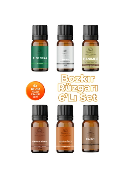 Bozkır Rüzgarı Oda Kokusu 6'lı Set - Doğal Esansiyel Uçucu Yağ, Difüzör Esansı, Buhurdanlık Yağı Karışık