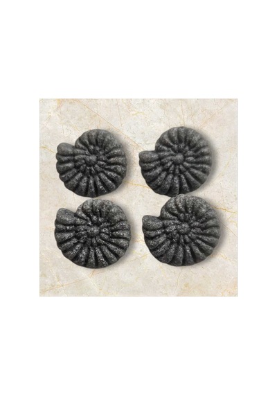 Fosil Salyangoz Kemik Düğme Alttan Dikim 1,4 Cm 6 Adet - 691742218