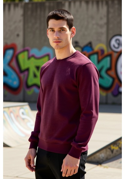 Benerly Erkek Bisiklet Yaka Standart Kol Regular Kalıp Sweatshirt Fonksiy Bordo